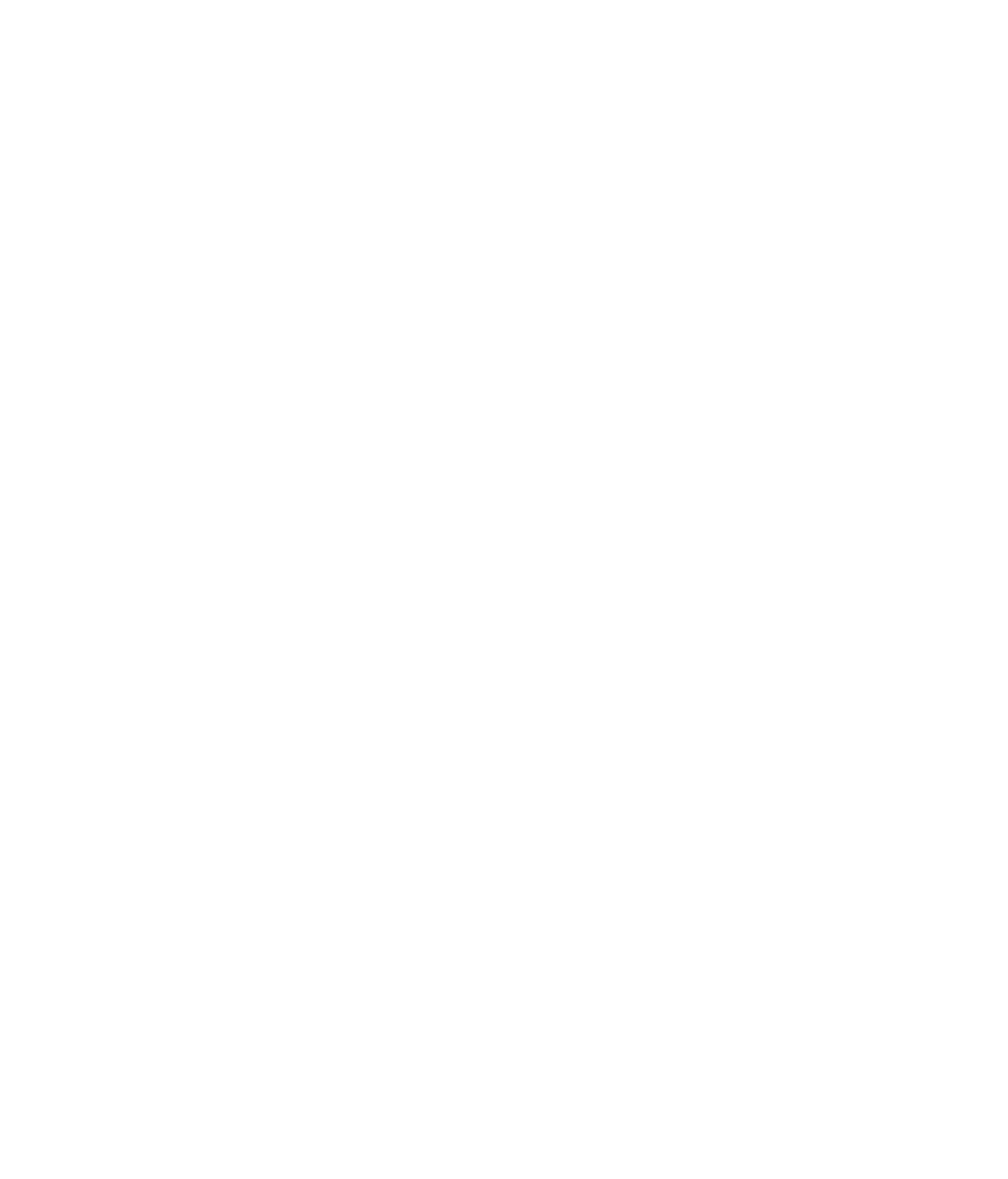 phone graphic